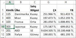 Satır ve sütunları bölme