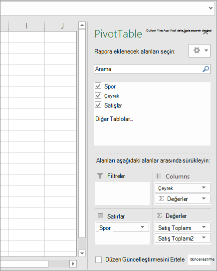 PivotTable Alanları