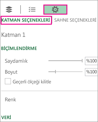 Katman Seçenekler sekmesindeki Ayarlar simgesi