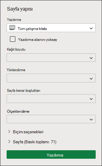 Print Entire Workbook in Web için ExcelWeb için Excel