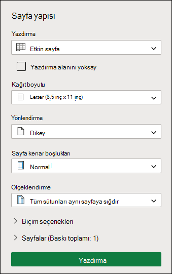 Yazıcı ayarları ekranı