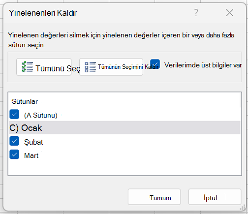 Yinelenenleri Kaldırma 5