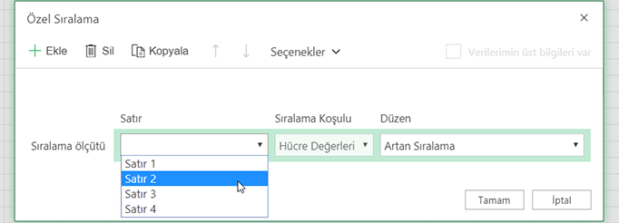 Soldan sağa sıralama seçildiğinde, özel sıralama iletişim kutusundaki satır açılan listesi açık