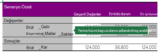 Adlandırılmış Aralıklarla Senaryo Özeti'ni gösteren ekran görüntüsü.