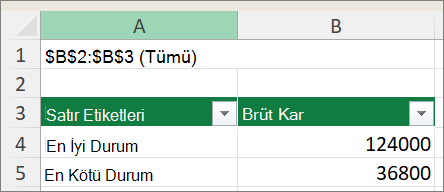 Senaryo PivotTable raporunu gösteren ekran görüntüsü.