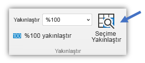 Şeridin Görünüm sekmesinde bulunan Seçimi Yakınlaştır düğmesinin ekran görüntüsü.