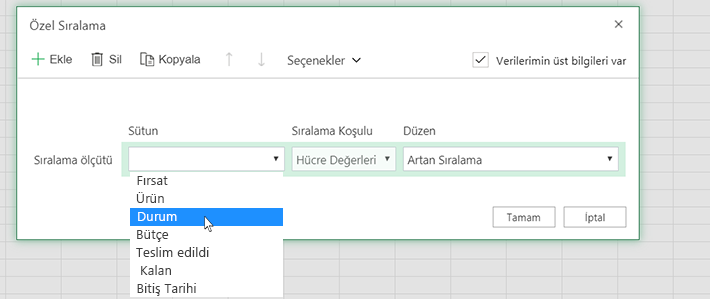 Özel sıralama iletişim kutusunda sütun seçme