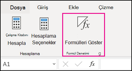Formülleri web'de gösterme