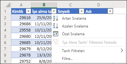 Artan veya Azalan düzende sıralamak için Excel Tablo Filtresini kullanma