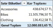 Basit PivotTable