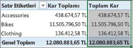 PivotTable