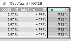 Power Pivot tablosunda Kar Sütunu