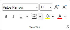 Yazı Tipi grubunda Kenarlıklar düğmesini gösteren ekran görüntüsü.