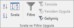 Sırala & Veri sekmesindeki Filtre grubu