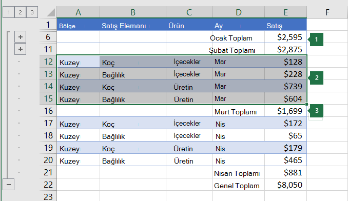 Bir hiyerarşide 2. düzeyde gruplandırmak için seçilen veriler.