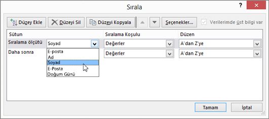 Sütun kısmında, Sıralama ölçütüne tıklayın ve bir seçenek belirleyin