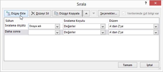 Düzey Ekle’ye tıklayın