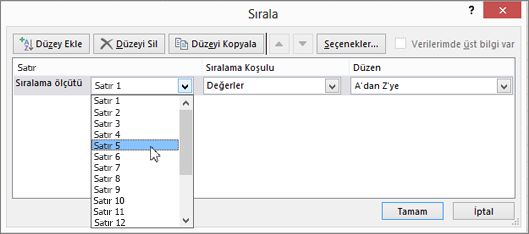 Sıralamak istediğiniz satırı seçin