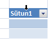 Tablo sütunu seçim oku