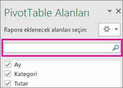 PivotTable alan kutusundaki Arama kutusu