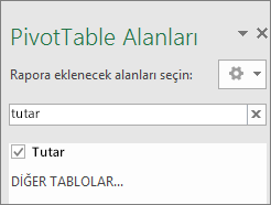 Arama sonuçlarının gösterildiği PivotTable Alan bölmesi