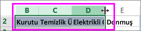 Birden fazla sütunun genişliğini değiştirme