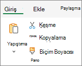 Pano grubunda Yapıştır komutunu gösteren ekran görüntüsü.