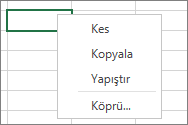 Kes, Kopyala, Yapıştır ve Özel Yapıştır komutlarını görmek için sağ tıklamayı gösteren ekran görüntüsü.