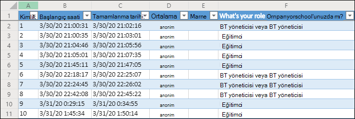 Anket sonuçlarını görüntüleyen Excel çalışma kitabı
