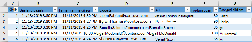Test sonuçlarını gösteren Excel çalışma kitabı