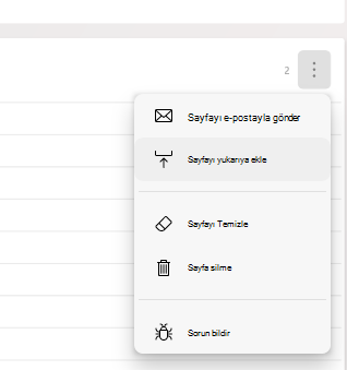 Sayfa menüsünün açık olduğunu gösteren bir Microsoft Journal sayfasının kısmi görüntüsü.