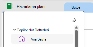 Copilot Not DefterleriCopilot Not Defterleri in OneNote