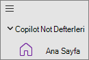 Copilot Not DefterleriCopilot Not Defterleri seçeneği