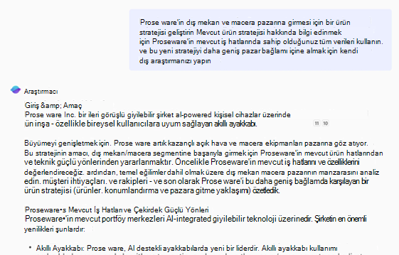 Araştırmacı raporu