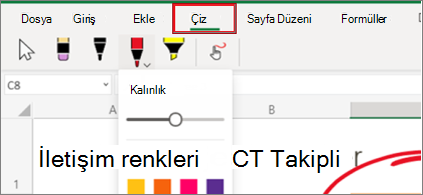 Web için Excel'da Çiz menüsünün ekran görüntüsü