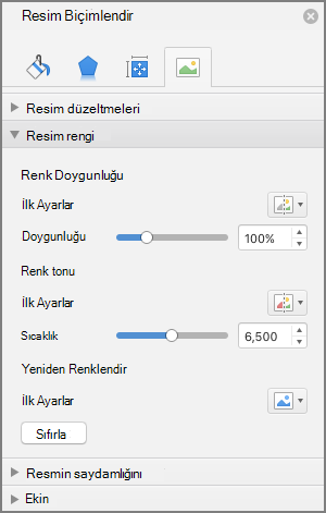 Resmi Biçimlendir bölmesinde renk doygunluğu ayarlarını yapma