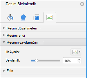 Resmi Biçimlendir bölmesinde renk saydamlığını ayarlama