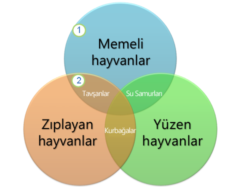 Bir Venn diyagramı