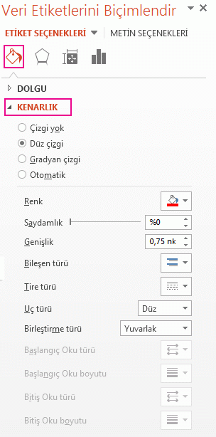 Veri Etiketi Biçimlendirme görev bölmesinin Dolgu ve Çizgi sekmesi
