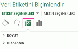 Veri Etiketlerini Biçimlendir Boyut & Özellikler simgesi ve bölmesi