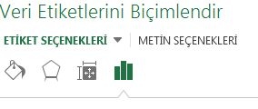 Veri Etiketlerini Biçimlendir Bölmesi