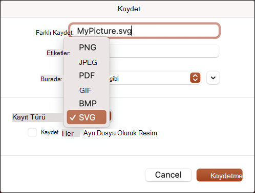 Mac için PowerPoint 2021'de SVG seçeneğinin seçili olduğu Farklı Kaydet iletişim kutusu