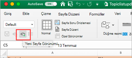 Excel Elektronik Tablosunu gösterir