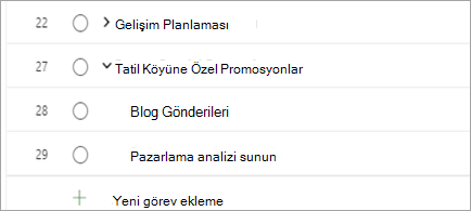 Project görevlerini gösterir