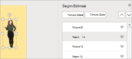 Seçim Bölmesi'ni gösterir