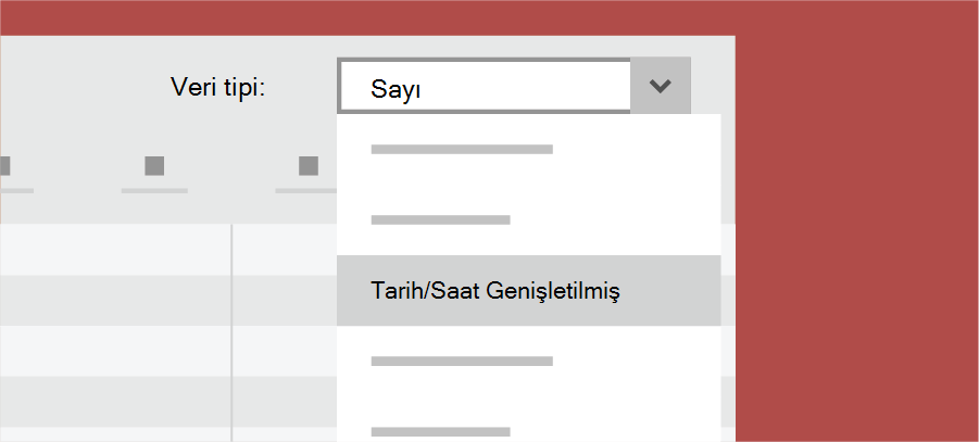 Access veri türünü gösterir