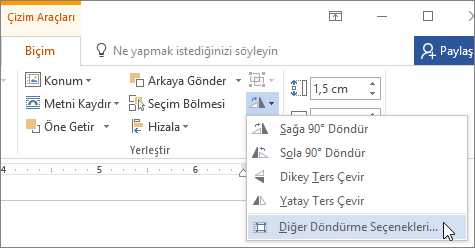 Döndür menüsündeki Diğer Döndürme Seçenekleri