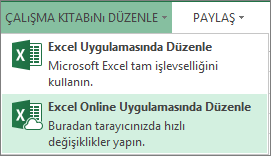 Çalışma Kitabını Düzenle menüsünde Excel Online’da Düzenle