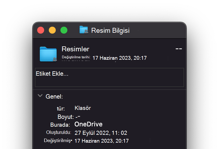 OneDrive_Disk_Space_File resmi