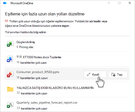 OneDrive dosya yolları listesini gösteren ekran görüntüsü.